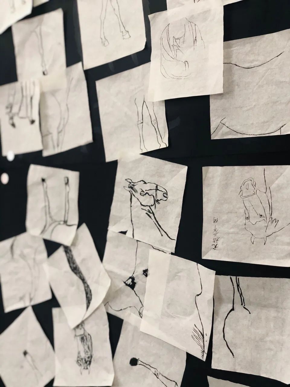 6bae368122dc4e4aa34a25436386f4e6.jpg 6bae368122dc4e4aa34a25436386f4e6.jpg