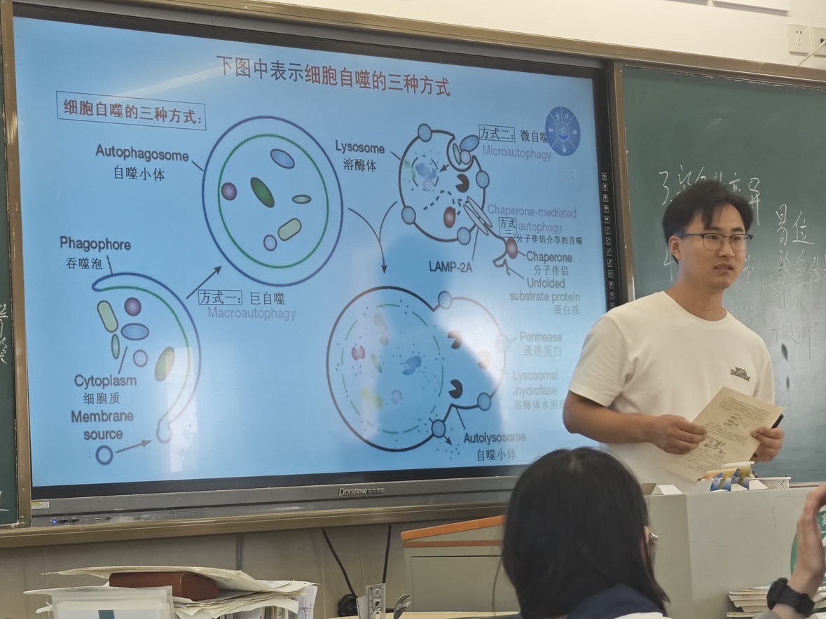 725c065e725cb18362d2ba7c60148d12